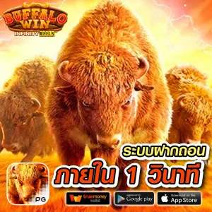 สล็อต munjaibet