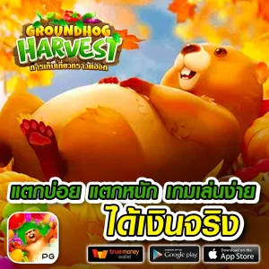 munjaibet เว็บตรง